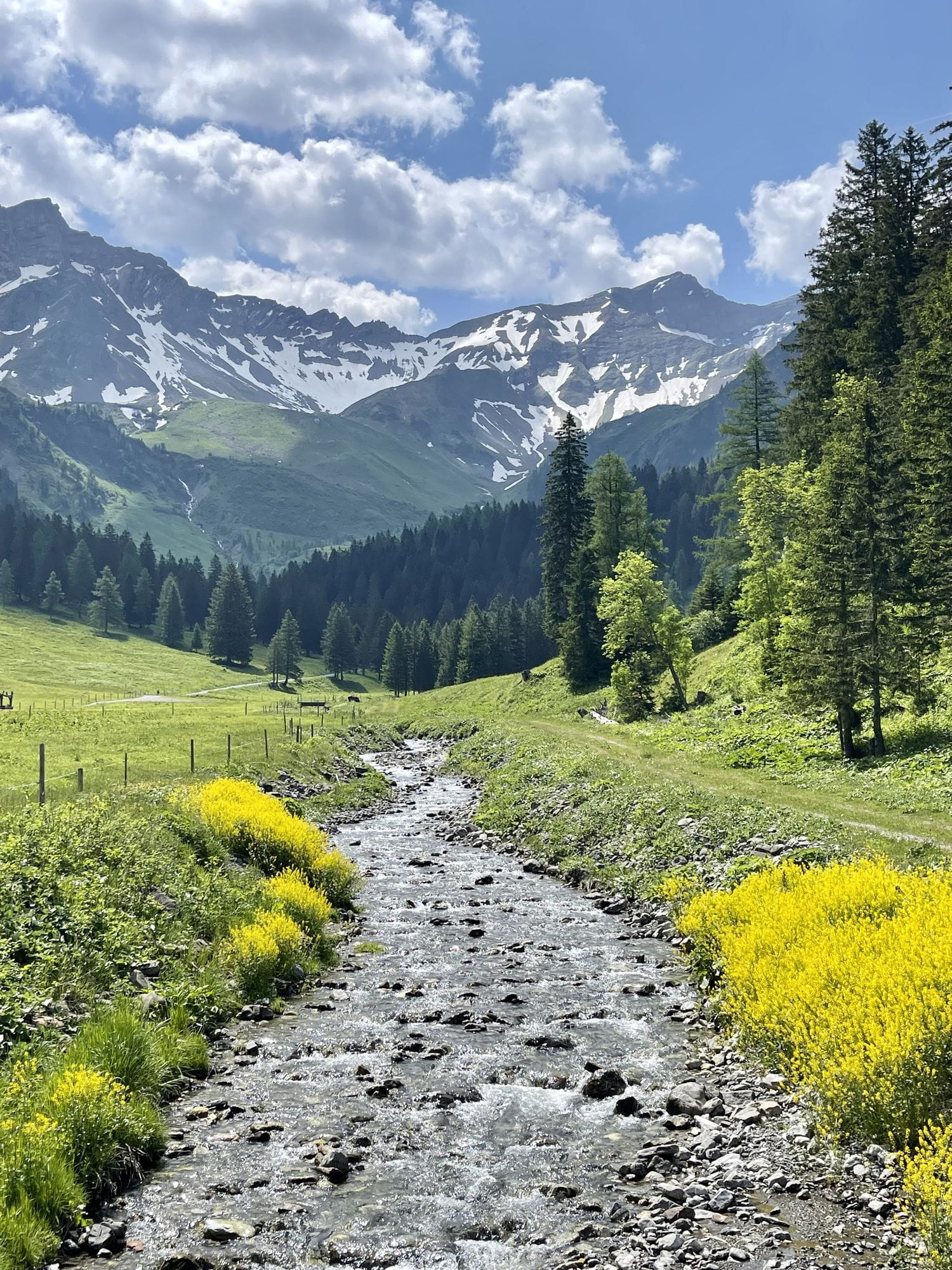 Alpine valley in Liechtenstein as inspiration for Noir Alpine bespoke jewellery and high jewellery brooch