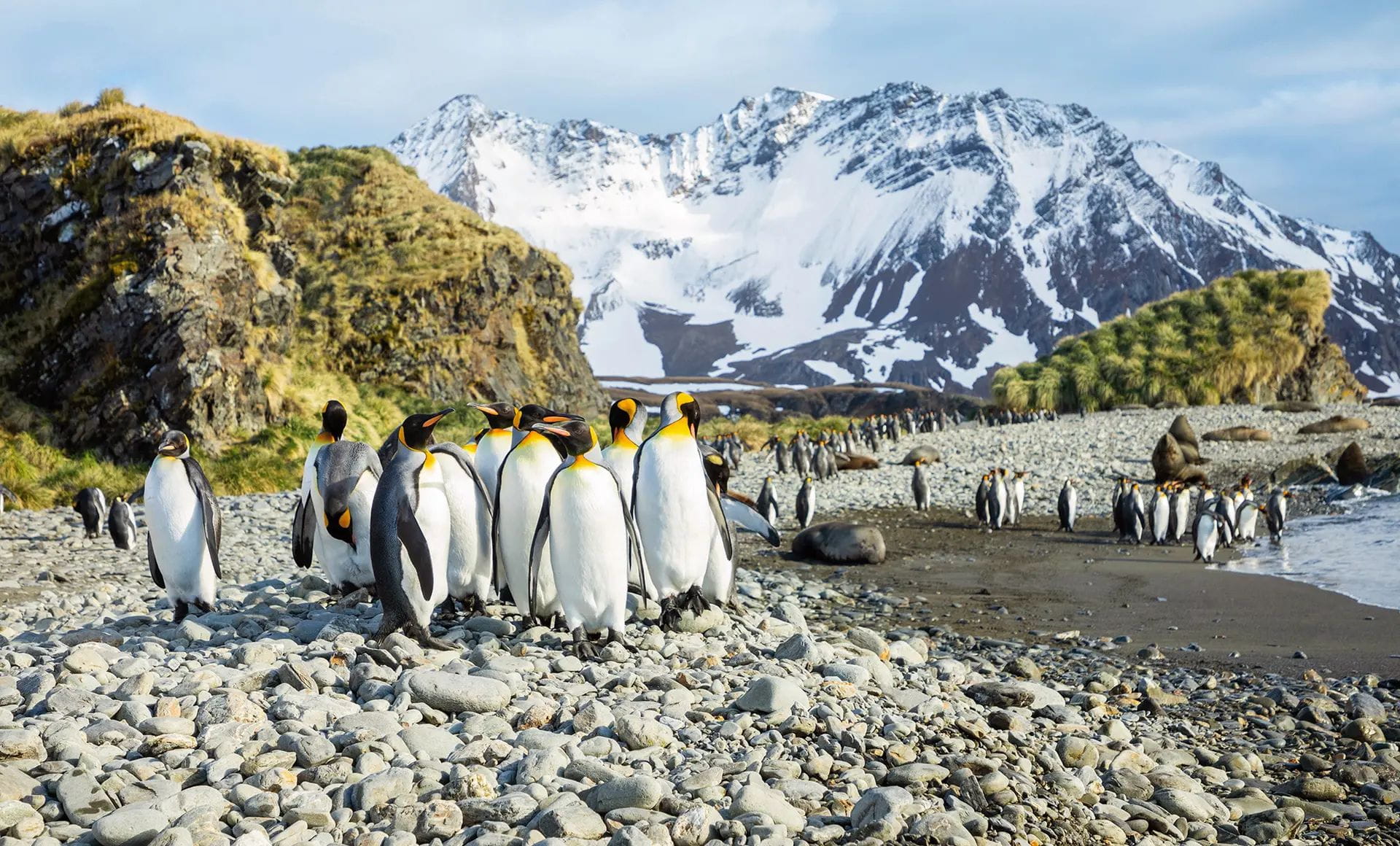 Hapag-Lloyd Cruises Antarktis Expedition mit HANSEATIC inspiration, Eisbergen, Pinguinen und Zodiac-Erlebnissen